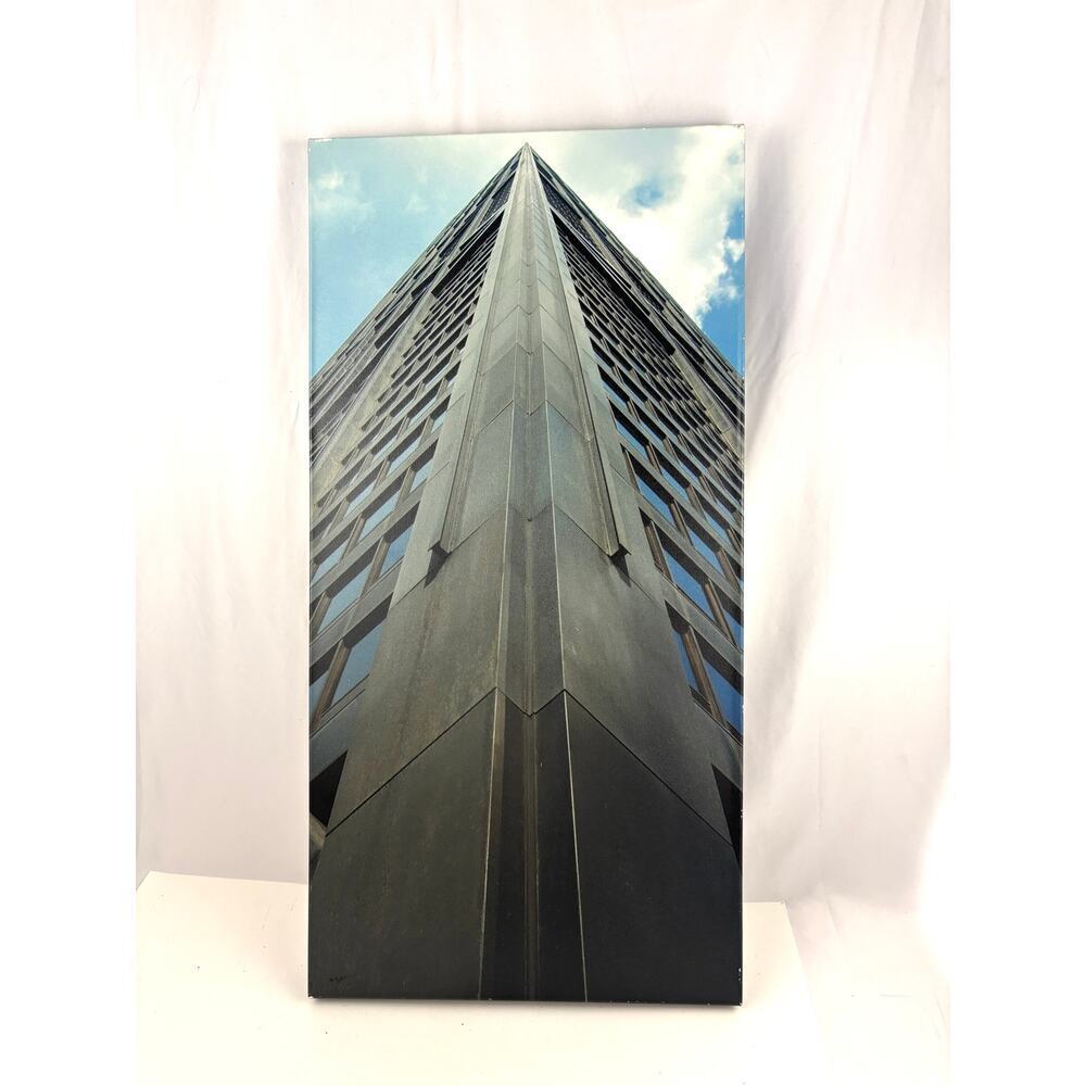 High Rise Tower Chicago‎ Skyscraper Building Print Canvas Art Wall Decor 16"x32"